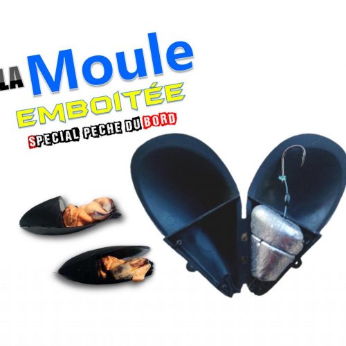 la Moule de Marseille tenya special pêche a la daurade royale Marseille